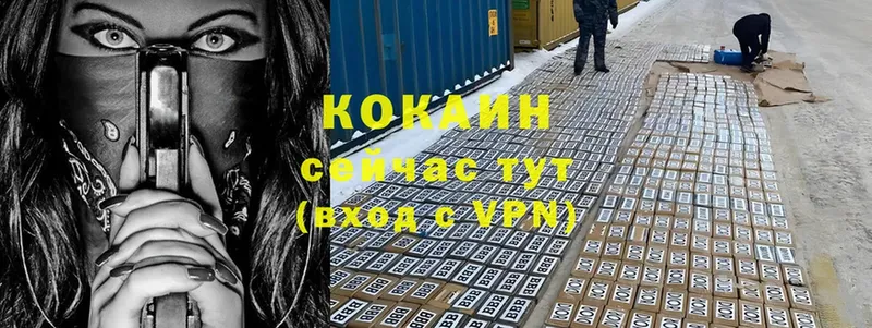 купить  сайты  mega как войти  COCAIN 99%  Волгореченск 